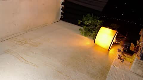 Snapshot of xxgoddessofsatisfactionxx chatting on 19, 10, 2025 Sophie online show from 19, 10, 2025