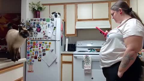 Strawberry Jane online show from 14, 12, 2024