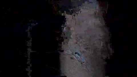 Snapshot of xxverabbyxx chatting on 14, 1, 2026 Vera online show from 14, 1, 2026