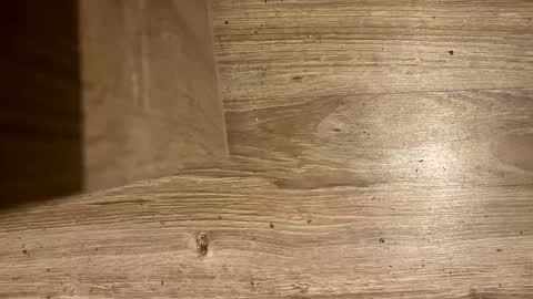 Antonio del Pa ero online show from 8, 3, 2026