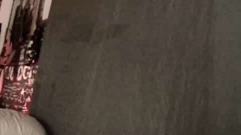 Snapshot of xxwhitefoxx chatting on 11, 3, 2025 David Fox online show from 11, 3, 2025