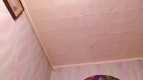 isa and gonzo online show from 2, 2, 2025