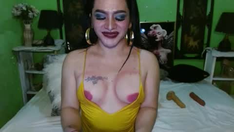 PAMPAM online show from 15, 11, 2025