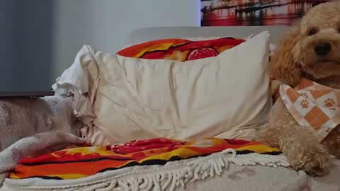 TonyDoesMiami online show from 28, 1, 2025