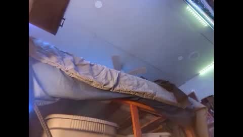 Xzbib online show from 12, 12, 2024