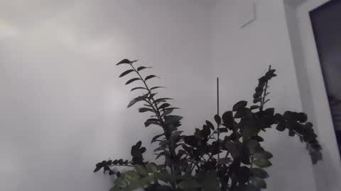 Snapshot of yakijoe chatting on 22, 10, 2025 yakijoe online show from 22, 10, 2025