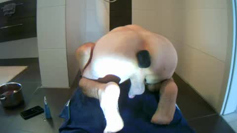 yeah285 online show from 5, 7, 2026