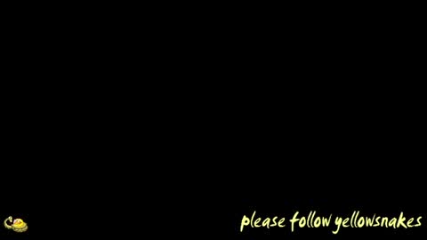 .     y e l l o w s n a k e s       . online show from 2, 12, 2025