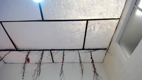 YEM online show from 16, 3, 2026