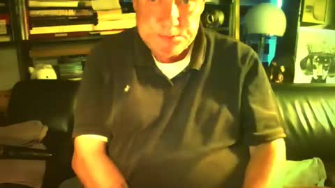 yessex247 online show from 14, 7, 2026