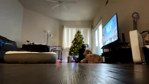 Palmela Handerson online show from 18, 12, 2024