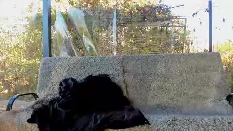 private on 18 per minute start private 500 tokensOnlyfans  online show from 29, 10, 2025