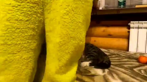 Snapshot of your_cute_friend chatting on 31, 12, 2024 Fansly online show from 31, 12, 2024