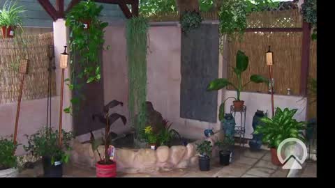 Sophiestar online show from 24, 2, 2025