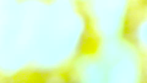 Edging4U online show from 13, 10, 2025