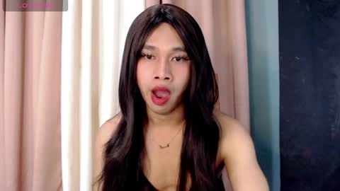 Stella online show from 27, 4, 2026