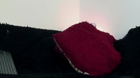 Snapshot of yulianpereira25 chatting on 12, 2, 2025 yulian 2811 online show from 12, 2, 2025