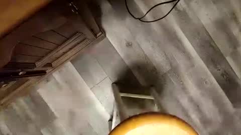 yupthatshim online show from 23, 1, 2025