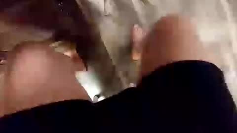 yupthatshim online show from 14, 2, 2025