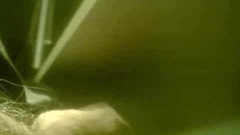 Snapshot of zaboski4 chatting on 7, 3, 2026 zaboski4 online show from 7, 3, 2026