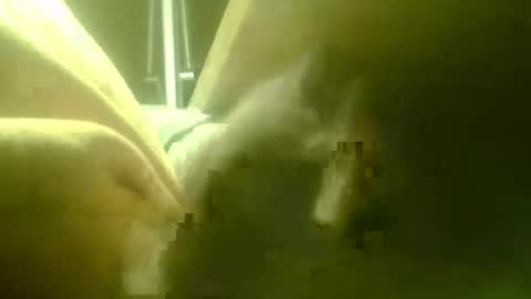 Snapshot of zaboski4 chatting on 18, 3, 2026 zaboski4 online show from 18, 3, 2026