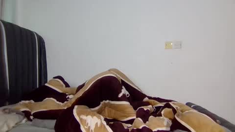 zadie online show from 23, 2, 2026