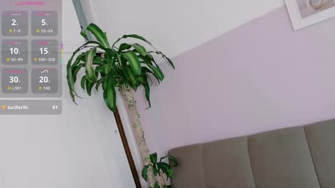 zara_fire online show from 1, 5, 2026
