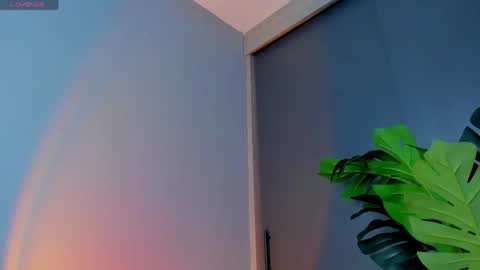 Zara online show from 29, 4, 2026