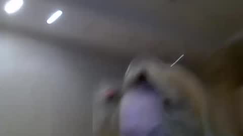 Zarina Swift online show from 14, 2, 2025