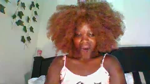 ZEEEE01 online show from 8, 4, 2026