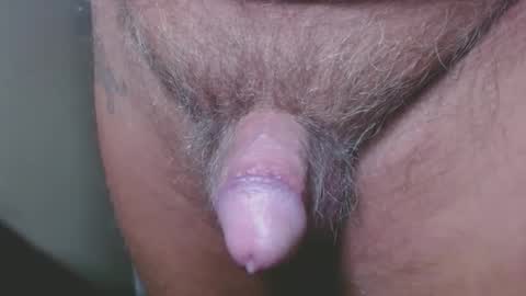 Snapshot of zerozero5555 chatting on 6, 12, 2024 bambi cumslut online show from 6, 12, 2024