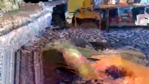 Snapshot of zerrannor chatting on 1, 11, 2025 Zerr online show from 1, 11, 2025