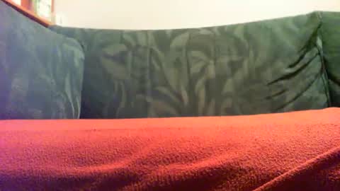 zevioo77 online show from 18, 9, 2025