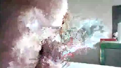 zogum online show from 1, 11, 2025