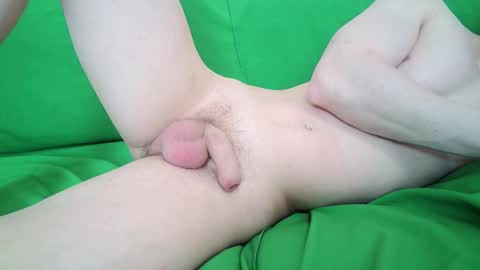 Zordy online show from 4, 3, 2025