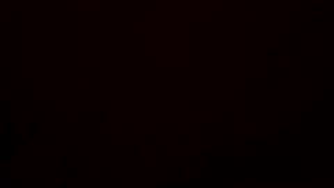 zqporn123 online show from 24, 4, 2026