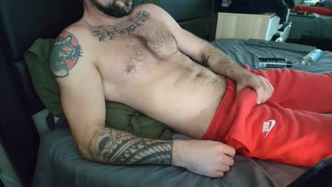 Zuko online show from 9, 11, 2025