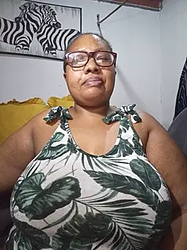 YELLOW BONE online show from 27, 6, 2026