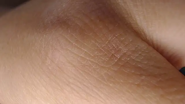 Rafaelayamazaki online show from 31, 1, 2025