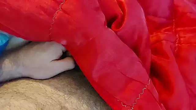 Ettarak online show from 8, 2, 2026