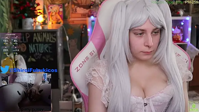 ShiroiFubuki online show from 19, 12, 2024