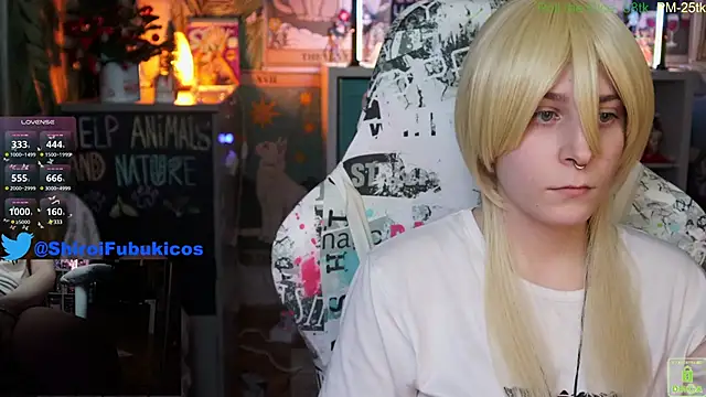 ShiroiFubuki online show from 27, 12, 2024