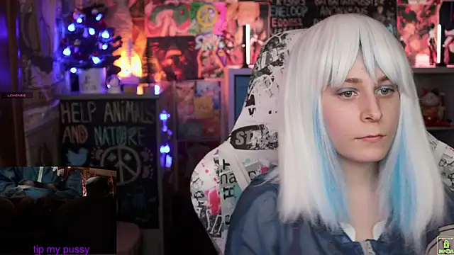 ShiroiFubuki online show from 25, 1, 2025