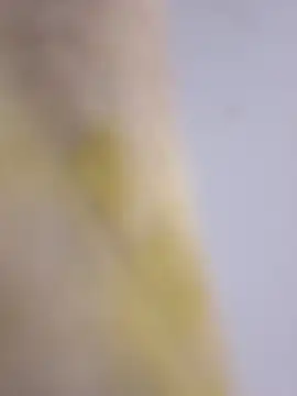 Snapshot of Mane_leet chatting on 14, 1, 2026 Mane leet online show from 14, 1, 2026