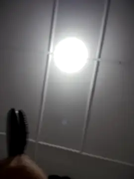 Lia flowers online show from 2, 11, 2025