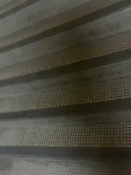 wSilEliaXm online show from 16, 9, 2025