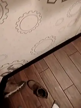 JRock69nKzoo online show from 20, 3, 2026