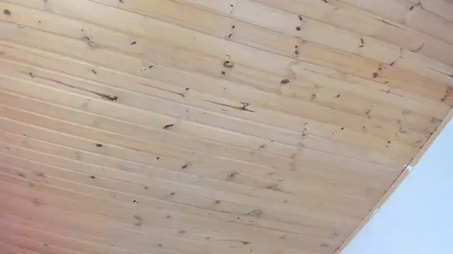 cristal  hot 1 online show from 1, 2, 2025