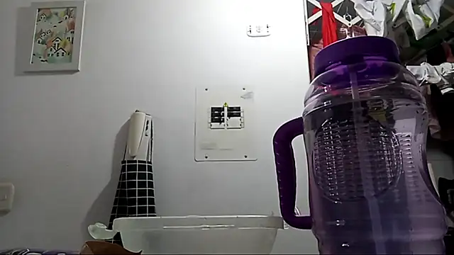 Snapshot of Norehg chatting on 8, 9, 2025 Norehg online show from 8, 9, 2025