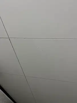 Snapshot of Tintola chatting on 23, 2, 2026 Tintola online show from 23, 2, 2026